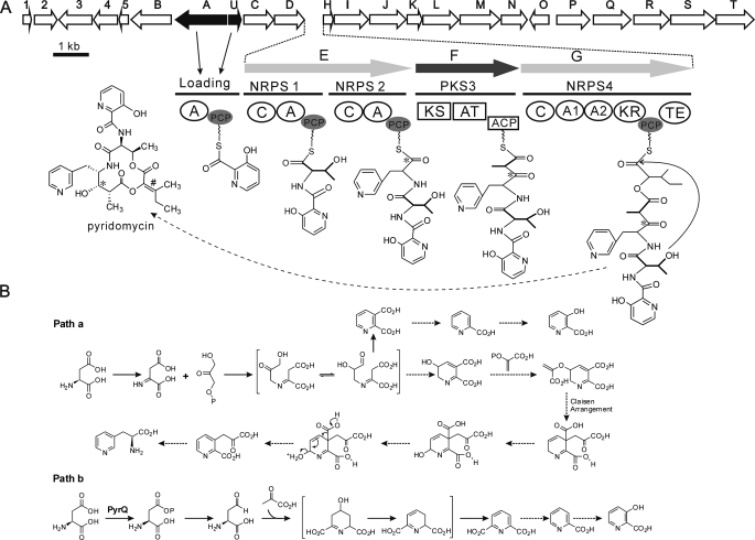 FIGURE 2.