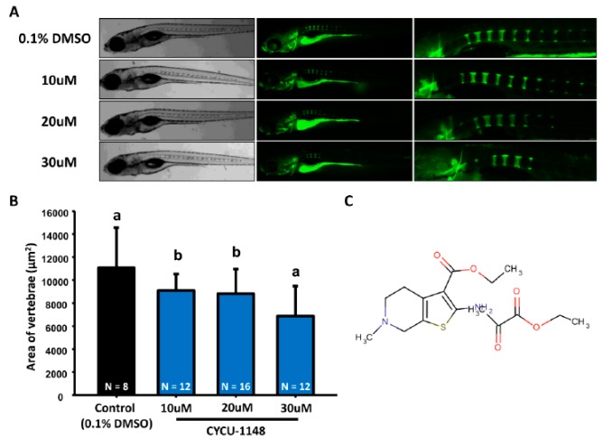 Figure 6