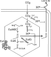 FIG. 10.