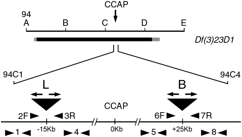 Figure 1.—