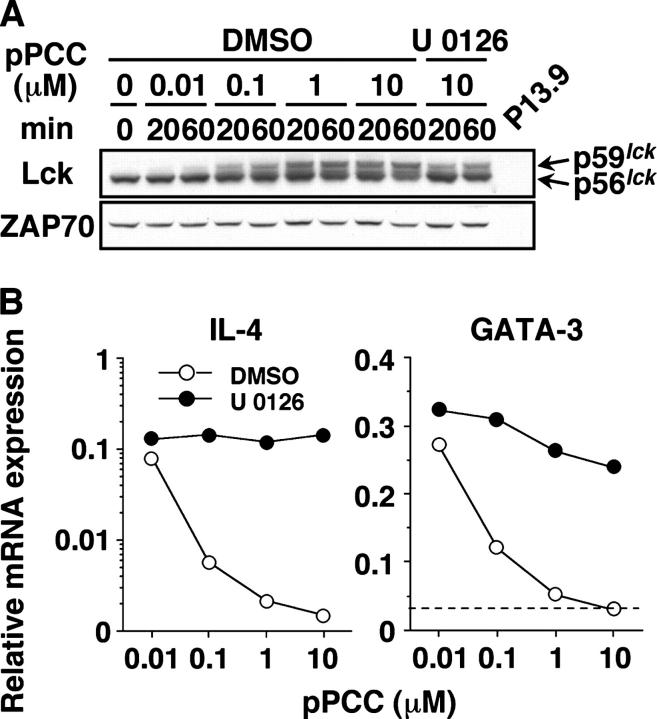 Figure 9.