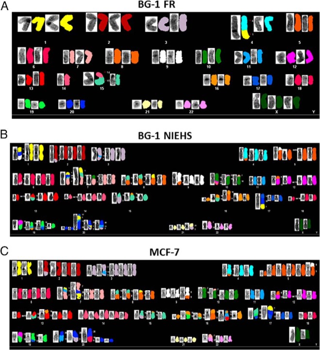 Figure 2.