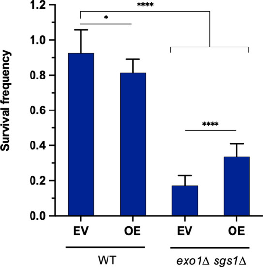 Figure 5—figure supplement 2.