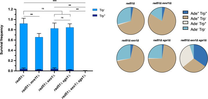 Figure 1—figure supplement 2.