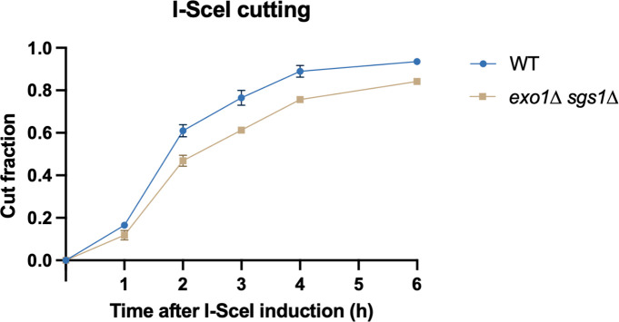 Figure 2—figure supplement 1.