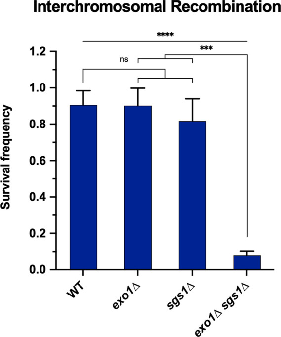 Figure 1—figure supplement 3.