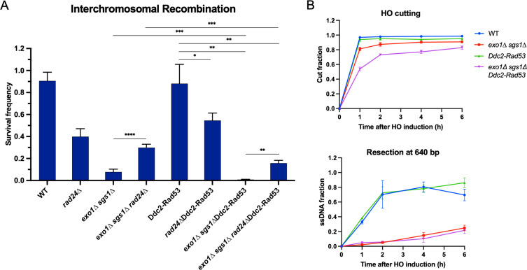 Figure 4—figure supplement 1.