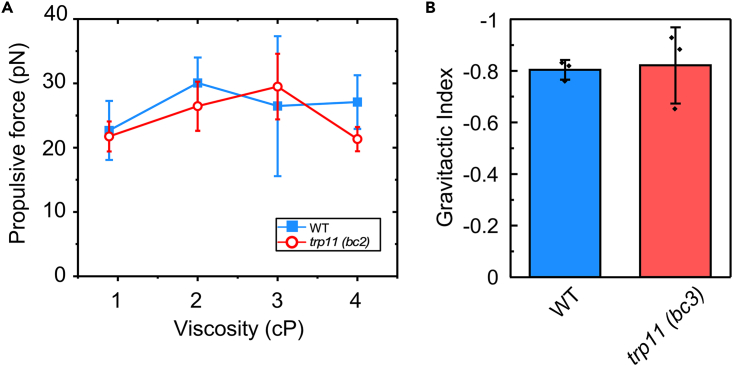 Figure 6