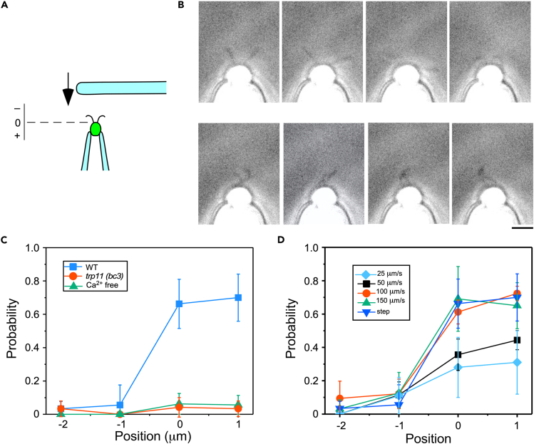 Figure 2