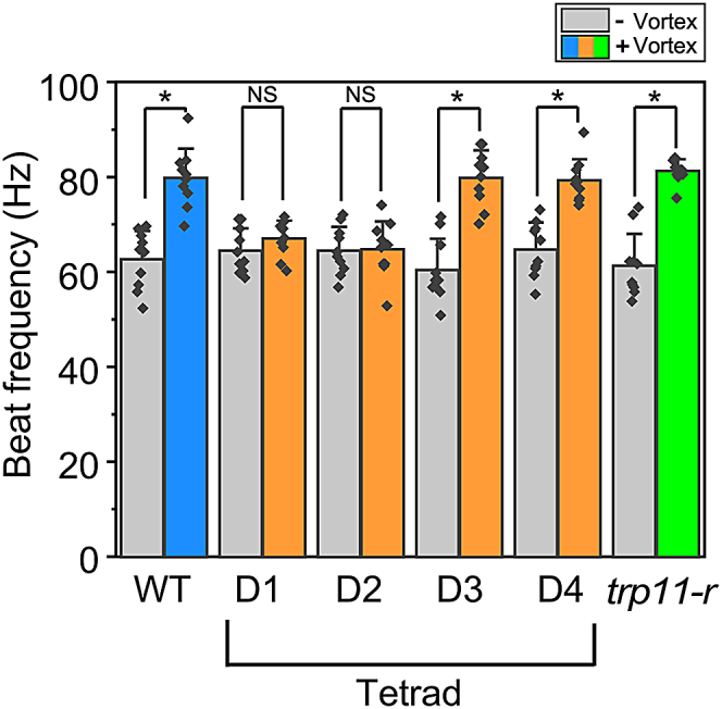 Figure 4