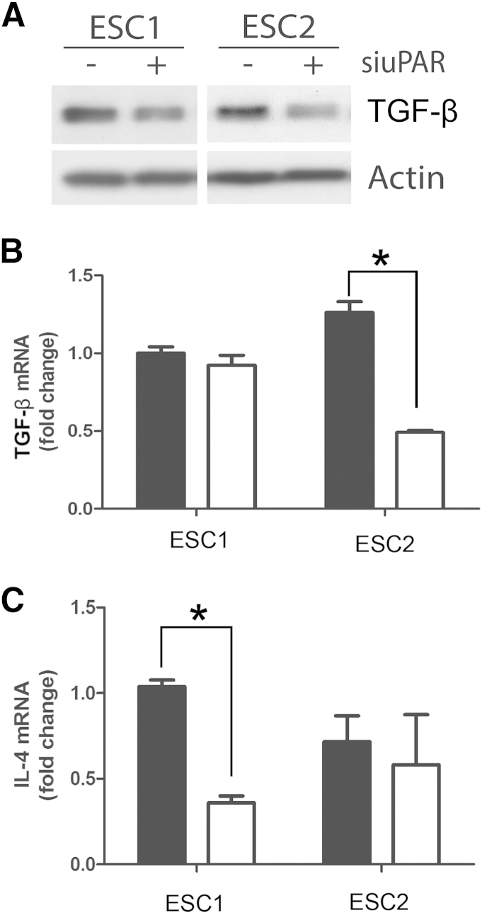 Figure 6