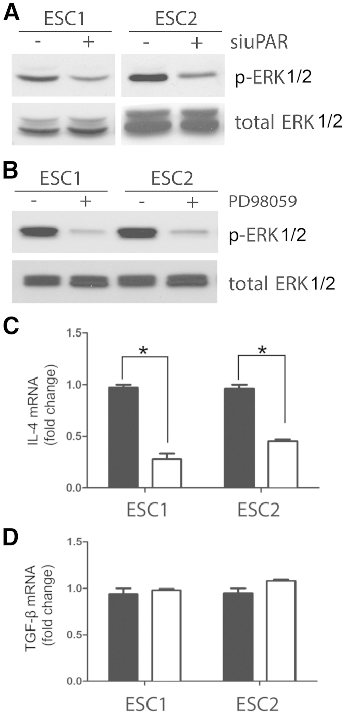 Figure 7