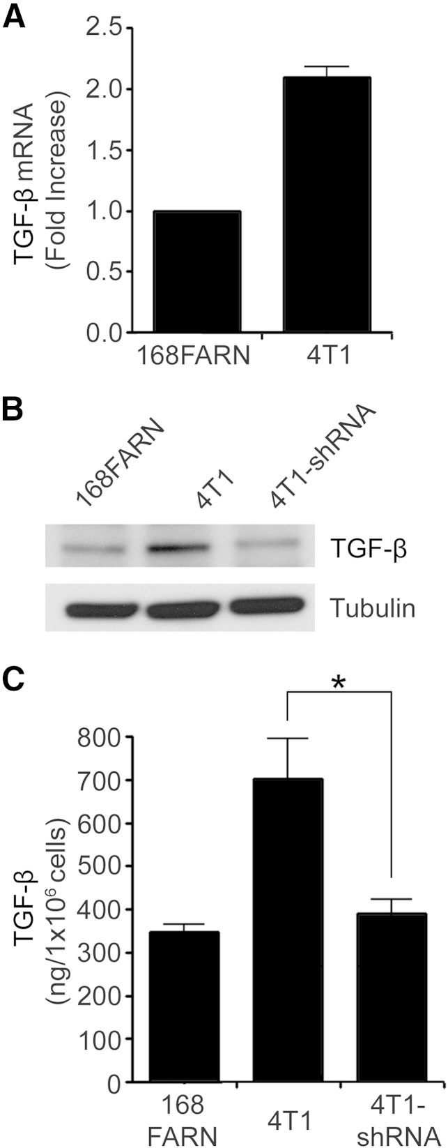 Figure 5