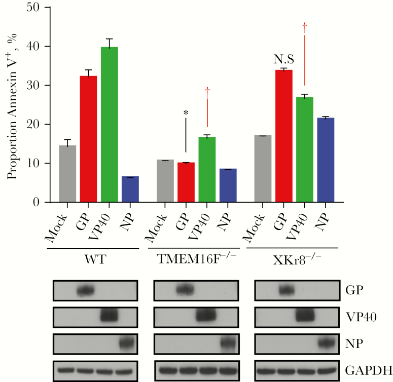 Figure 6.