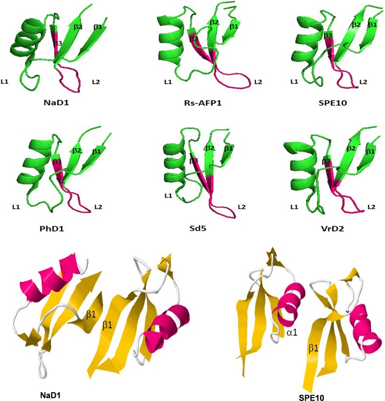 Plant defensins: types, mechanism of action and prospects of genetic ...