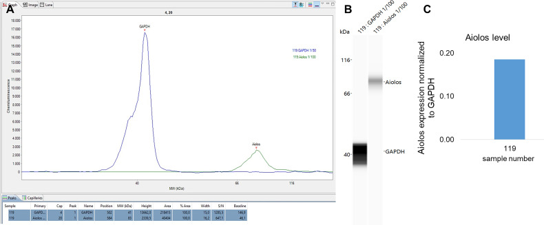 Figure 6.