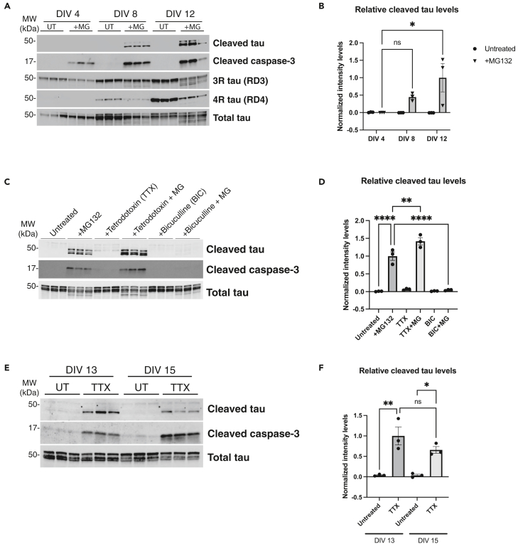 Figure 4