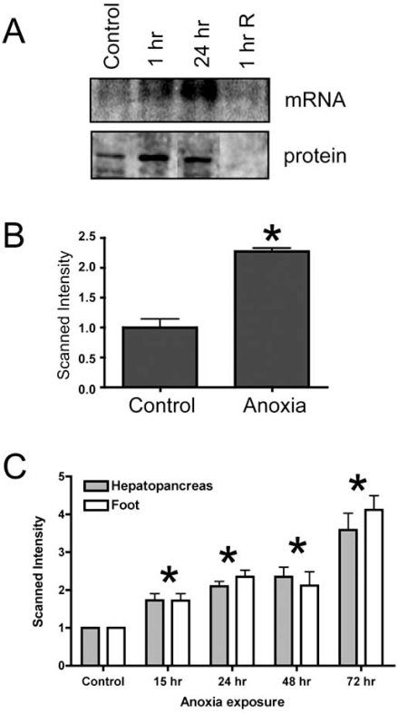 Fig. (2)