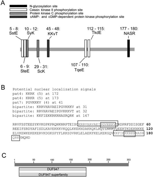 Fig. (3)