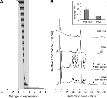 Figure 7.