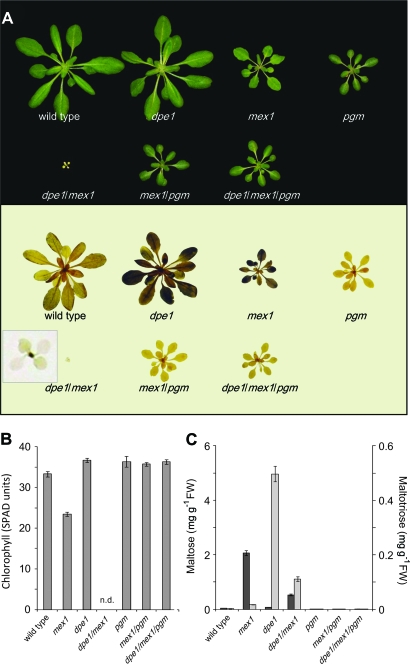 Figure 2.