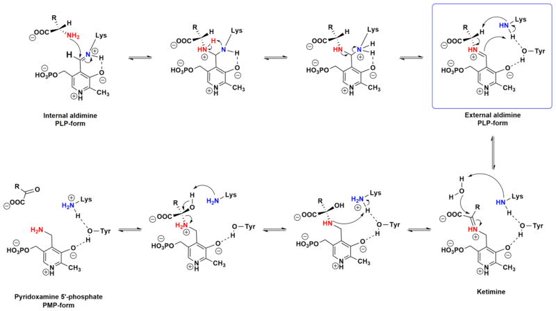 Scheme 3