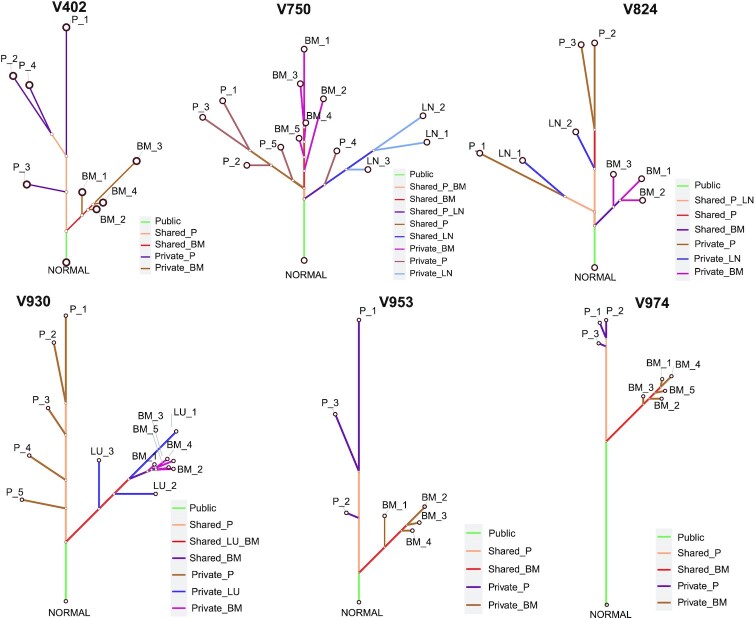 Figure 4: