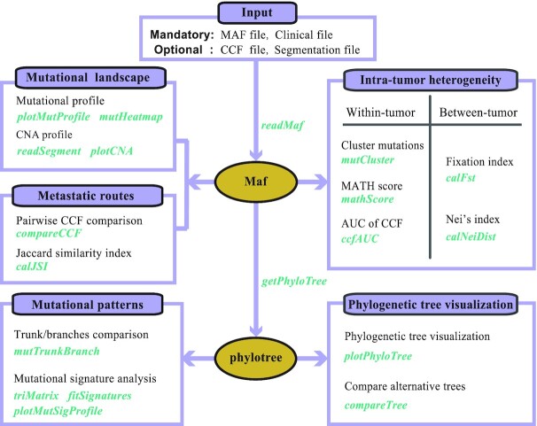 Figure 1: