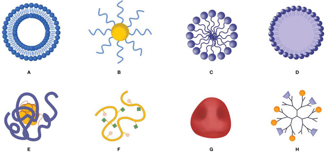 Figure 4