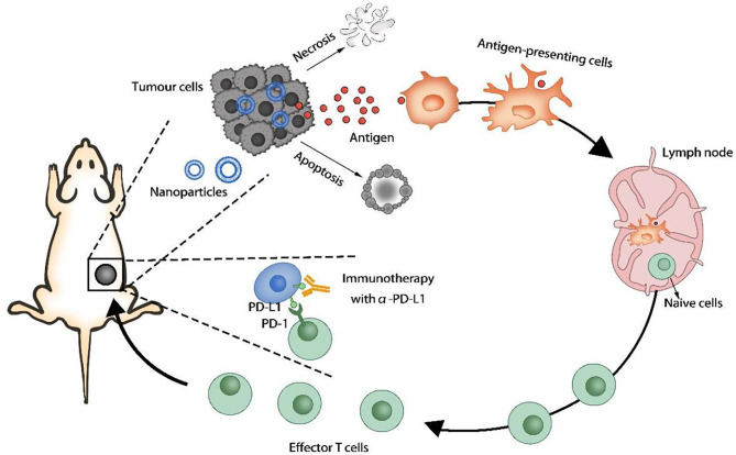 Figure 3