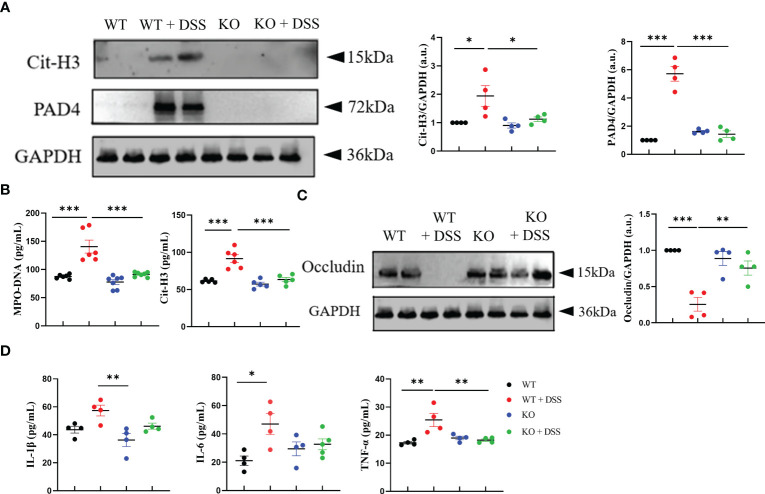 Figure 6