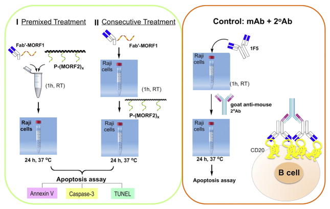 Scheme 2