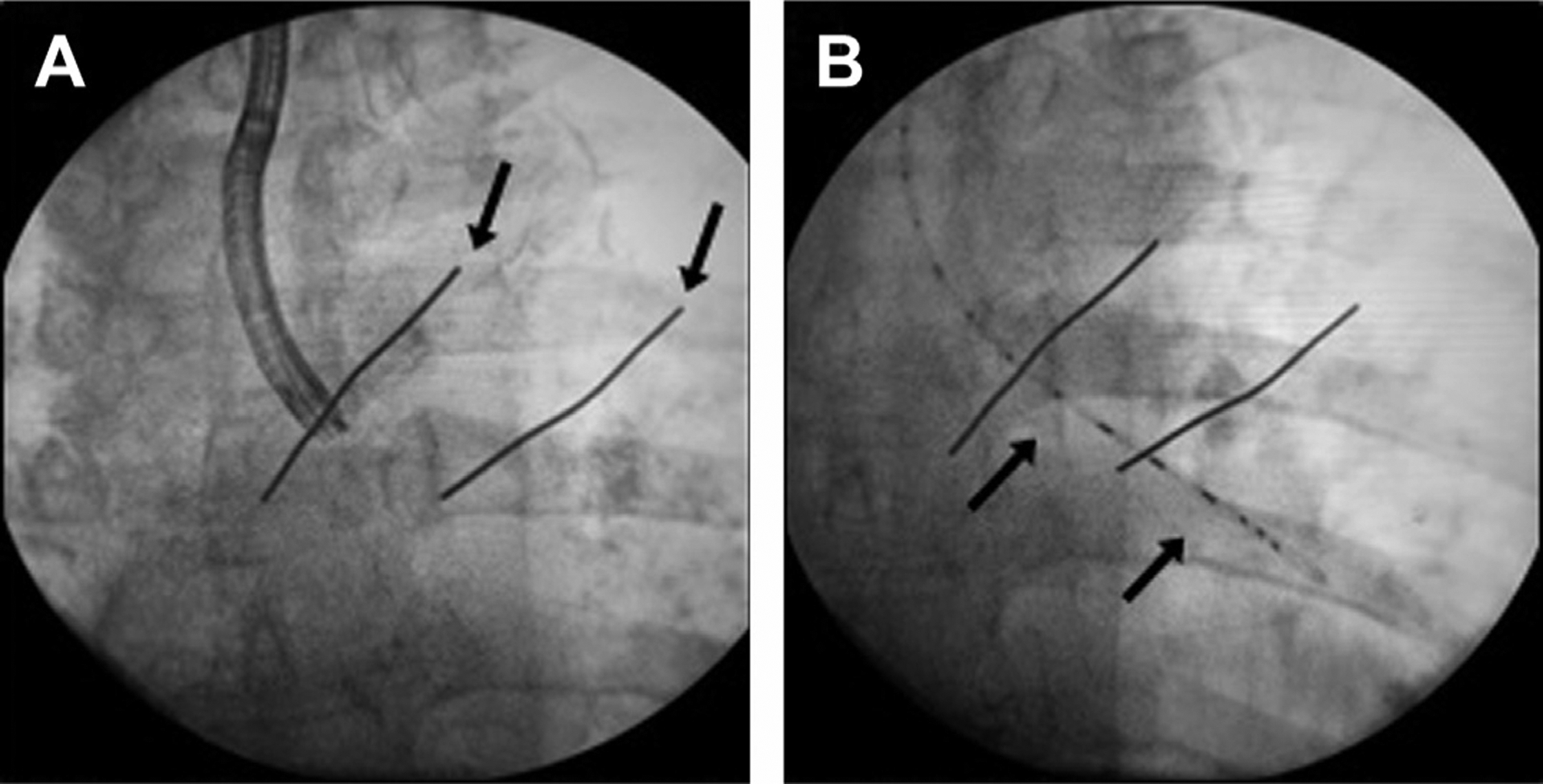 Fig. 9.