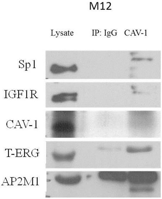 Figure 10