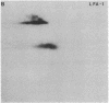 528