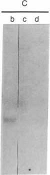 529