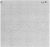 528