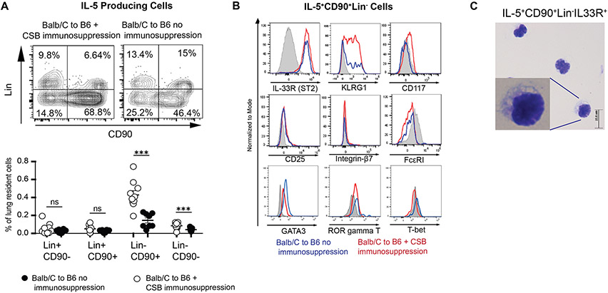 IL-5 Production in Lung Allografts