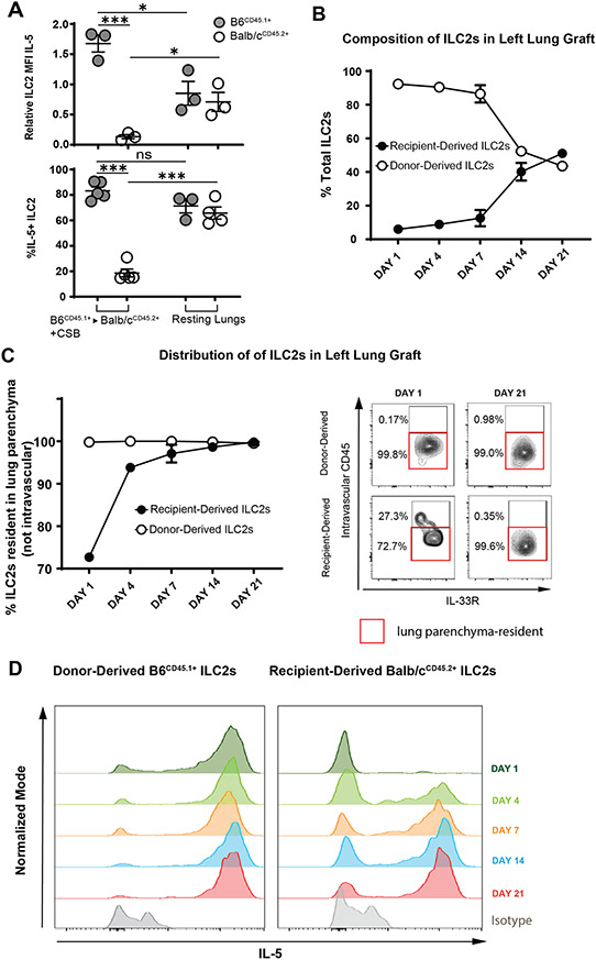 IL-5 Production by Donor and Recipient Derived ILC2.