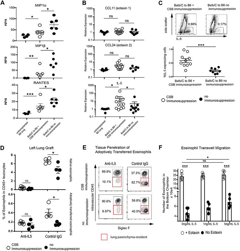 Cytokine and chemokine levels in lung allografts