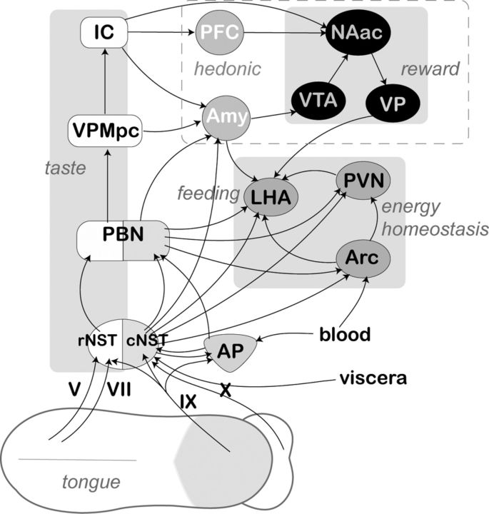 Figure 10.