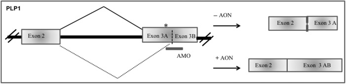 FIG. 9.