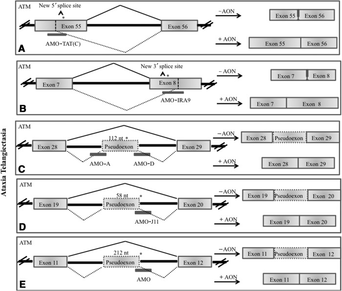 FIG. 2.