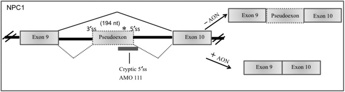 FIG. 5.