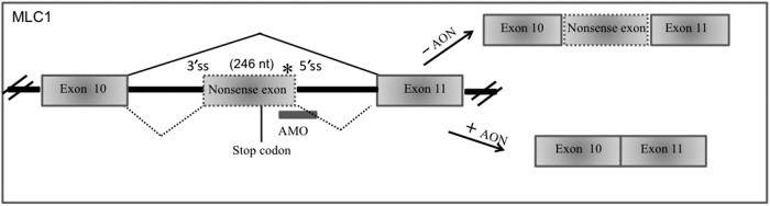 FIG. 8.