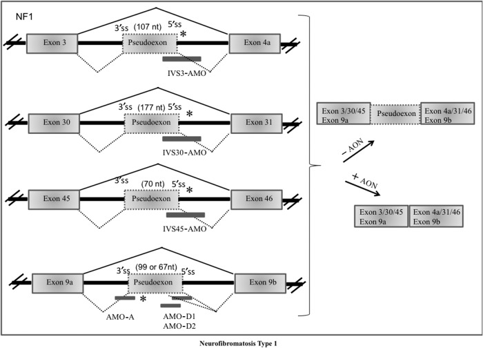 FIG. 6.