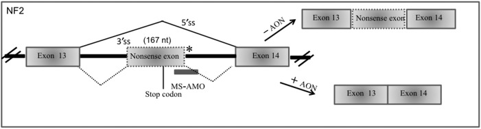 FIG. 7.