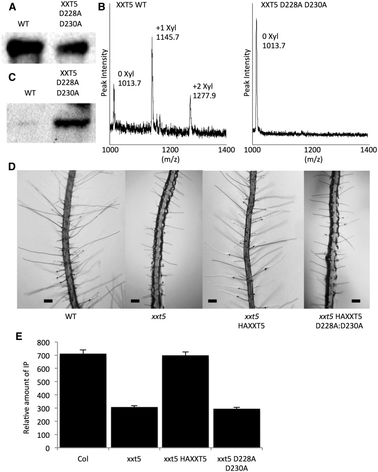 Figure 5.