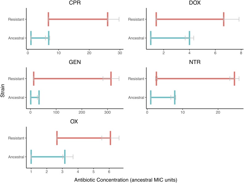 FIGURE 3