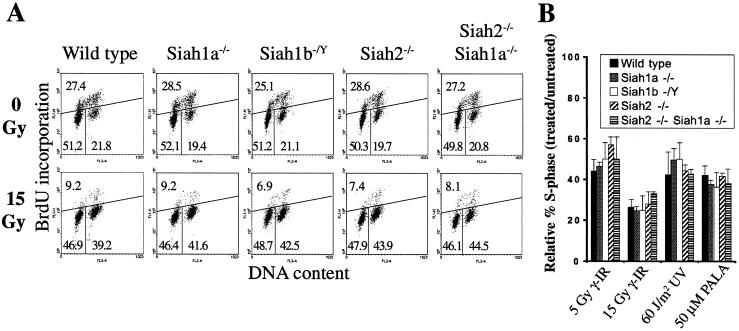 FIG. 5.